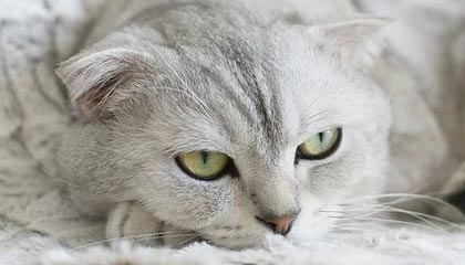 瑞安最新的高价医保个人账户余额微信查询方法分享(瑞安医保查询个人账户明细怎么查微信教程)