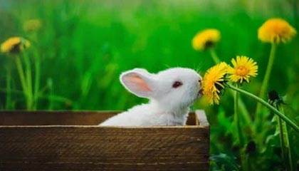 瑞安最新的高价医保卡惠民保险代扣怎么取消掉了方法分享(瑞安惠民医保怎么报销教程)